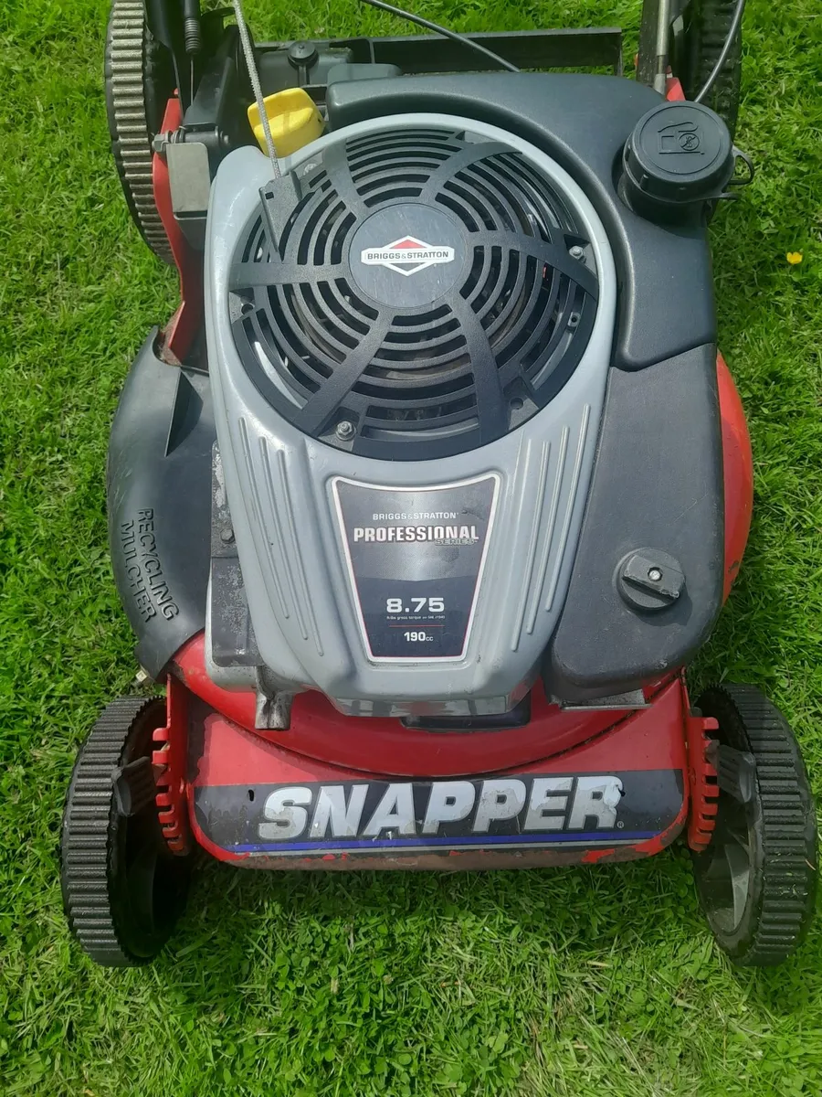 Industrial lawnmower - Image 2