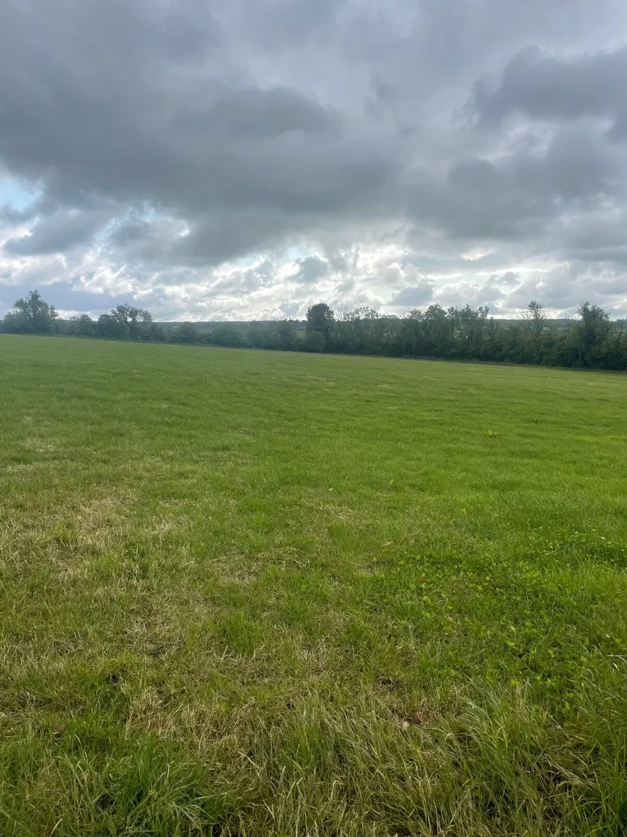 Grass to let