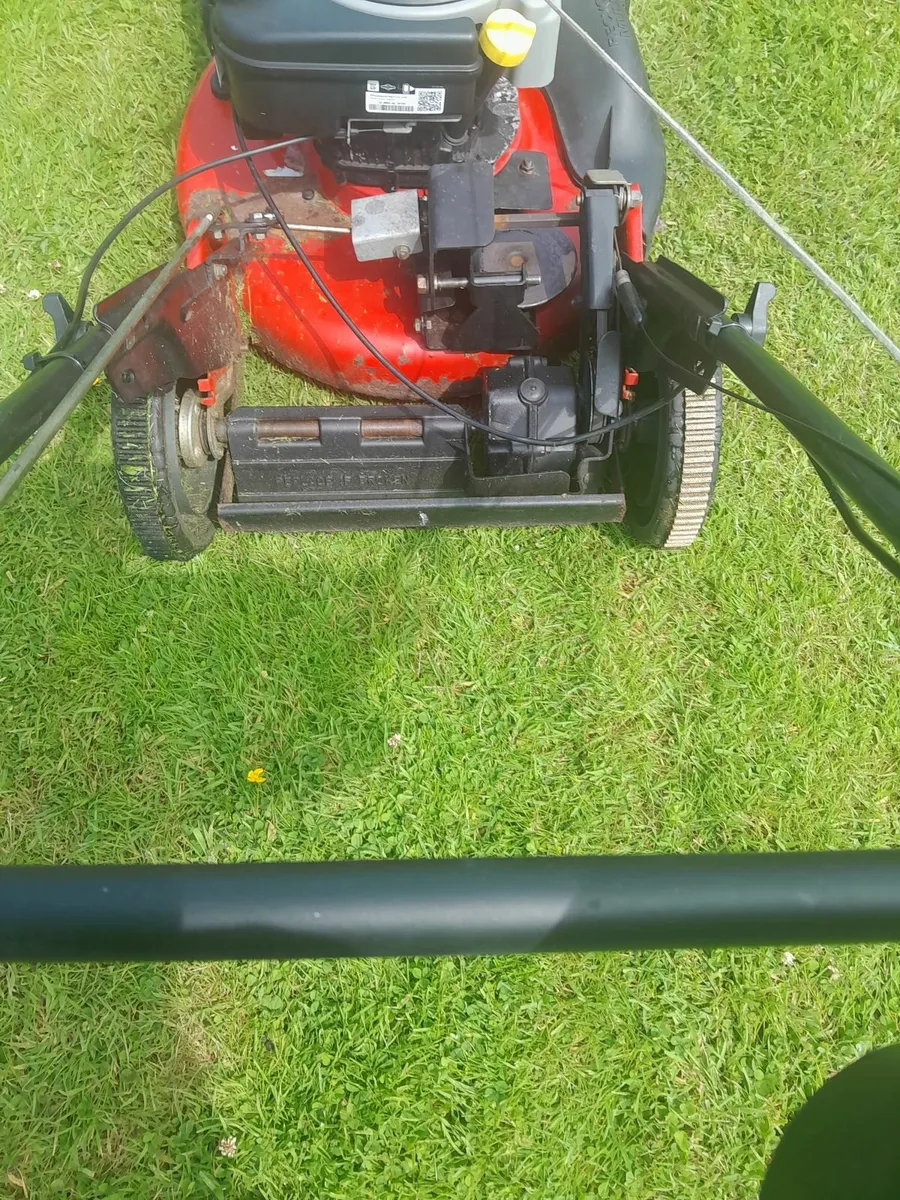 Industrial lawnmower - Image 3