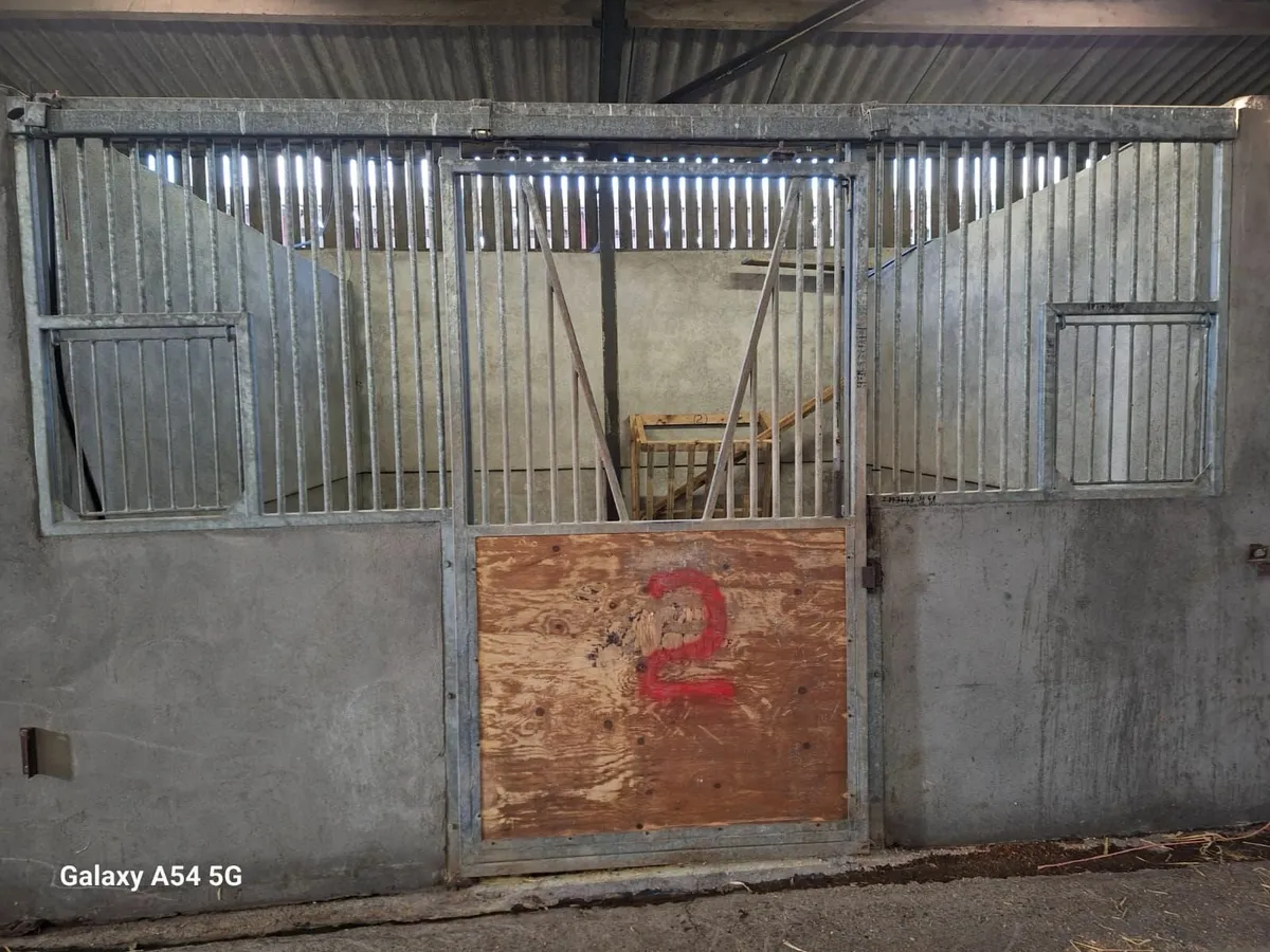 stable doors