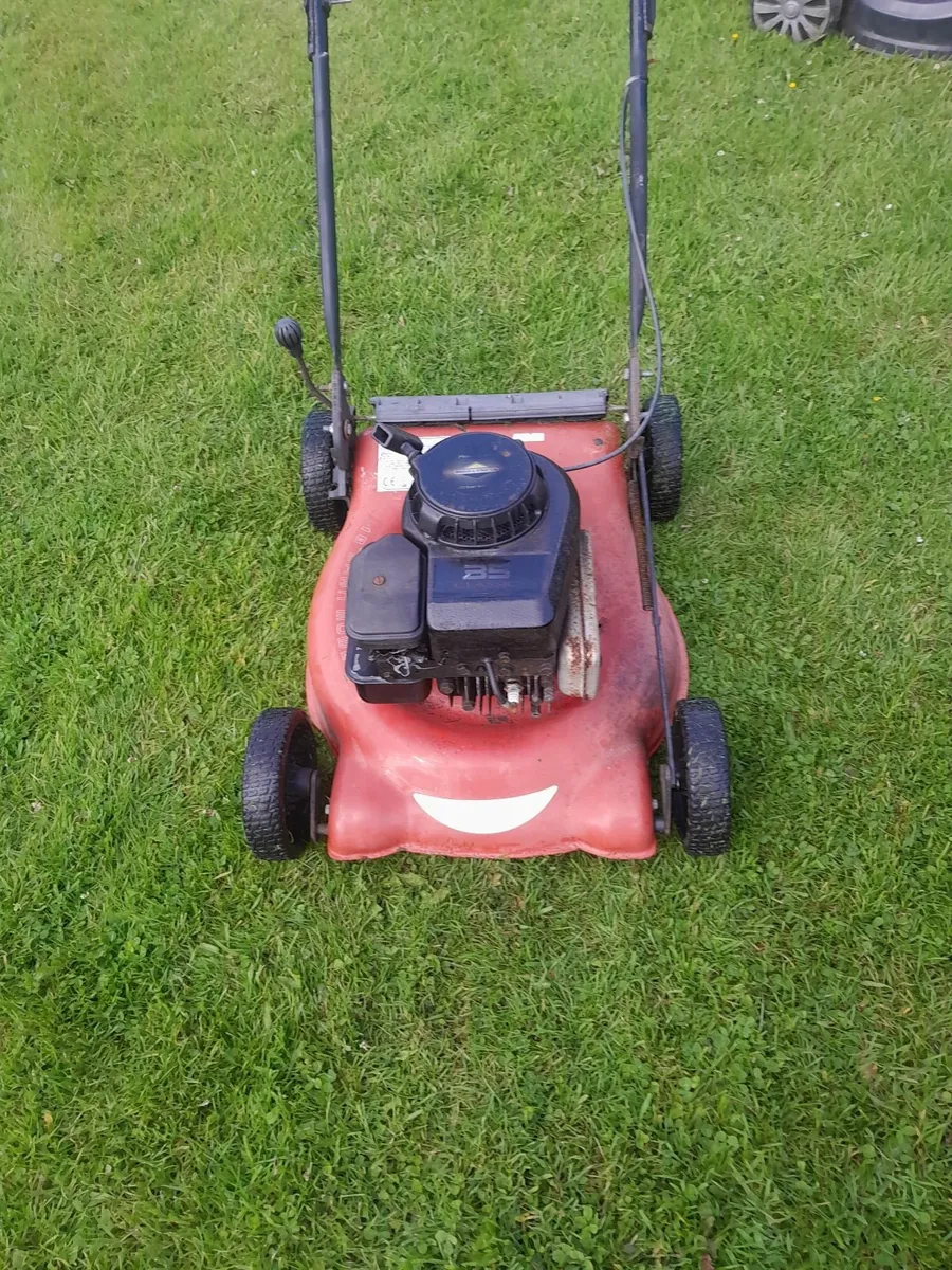 Small  lawnmower - Image 1