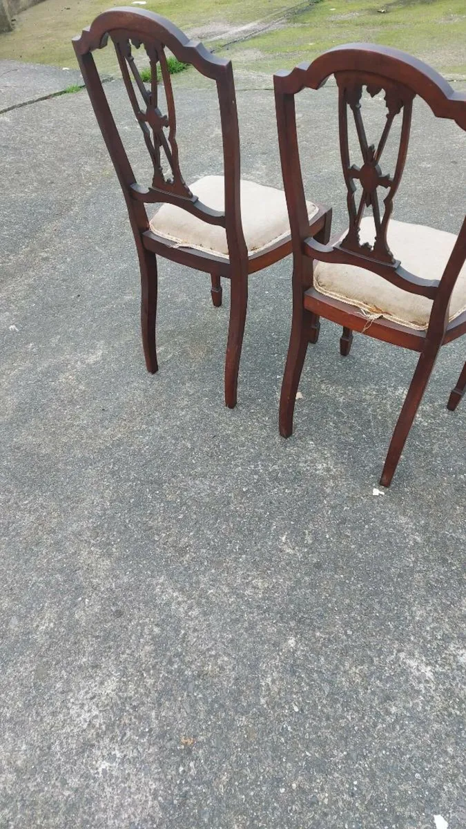 A pair of Edwardian chairs in need of restoration - Image 4