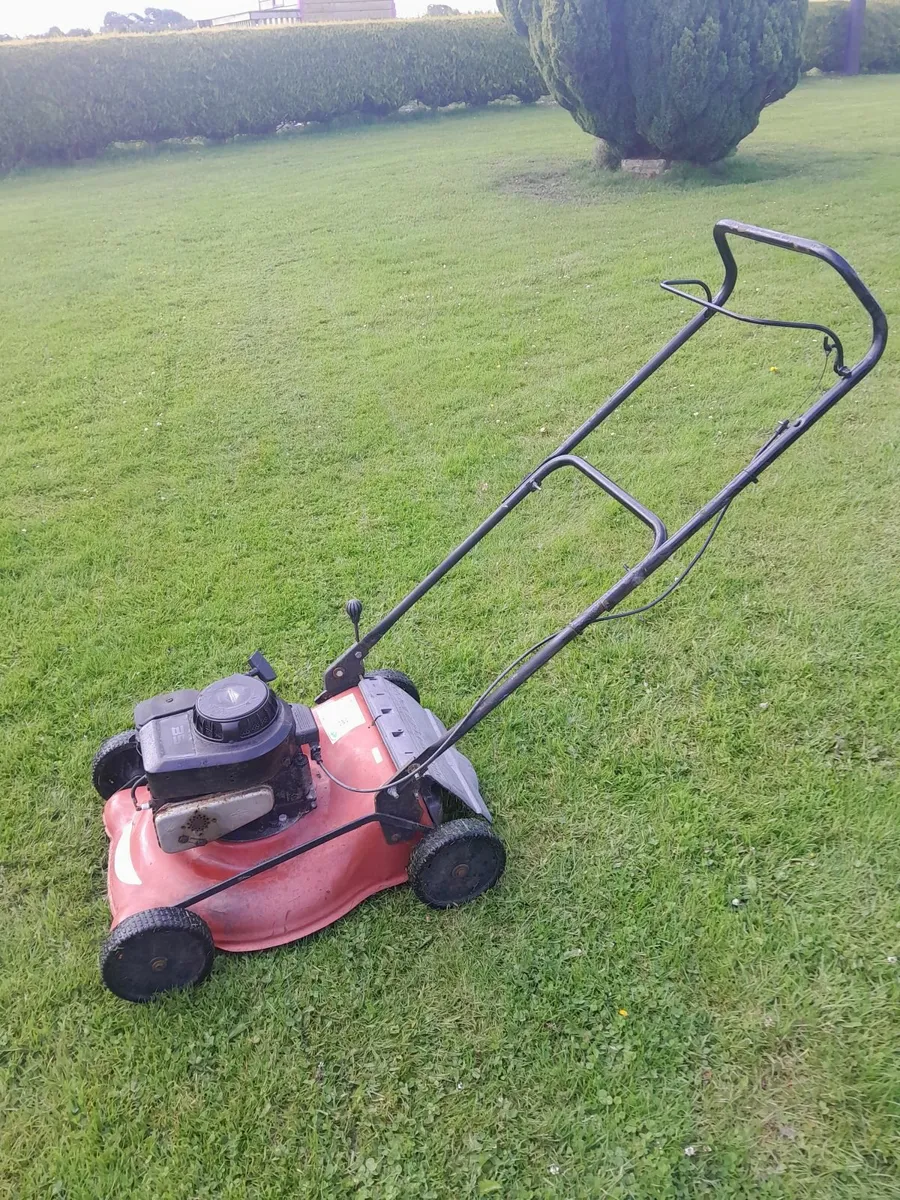 Small  lawnmower - Image 2