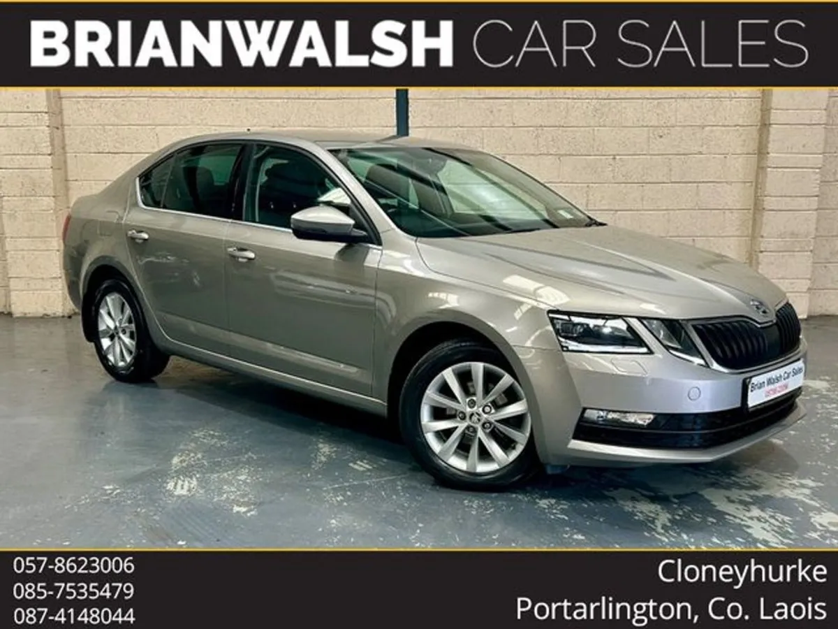 Skoda Octavia SOL 1.6 TDI 115HP 4DR - Image 1