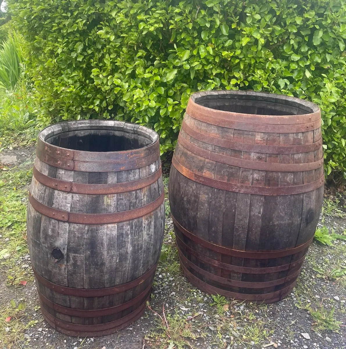 Two Whiskey Barrels (ice baths or seaweed baths) - Image 1