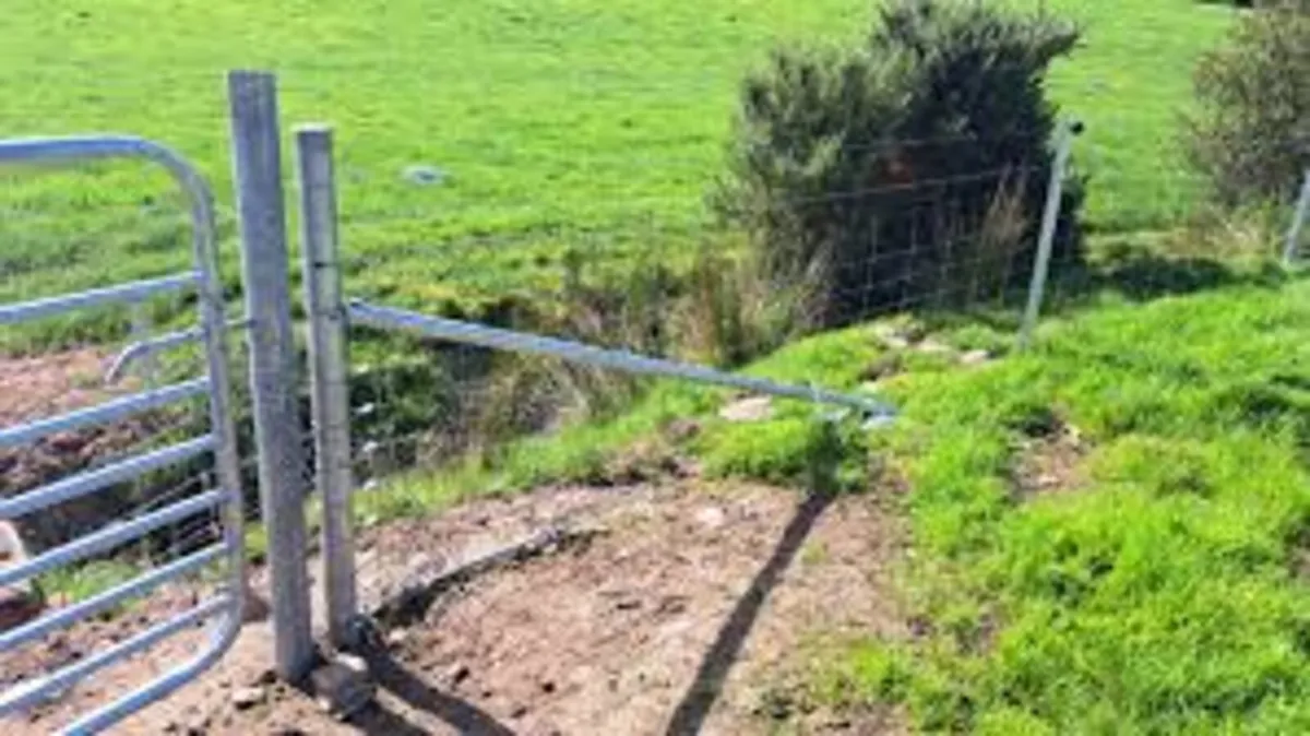 CLIPEX AT FRS TINAHELY - Image 2