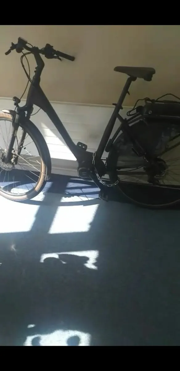 Bosch ebike - Image 4