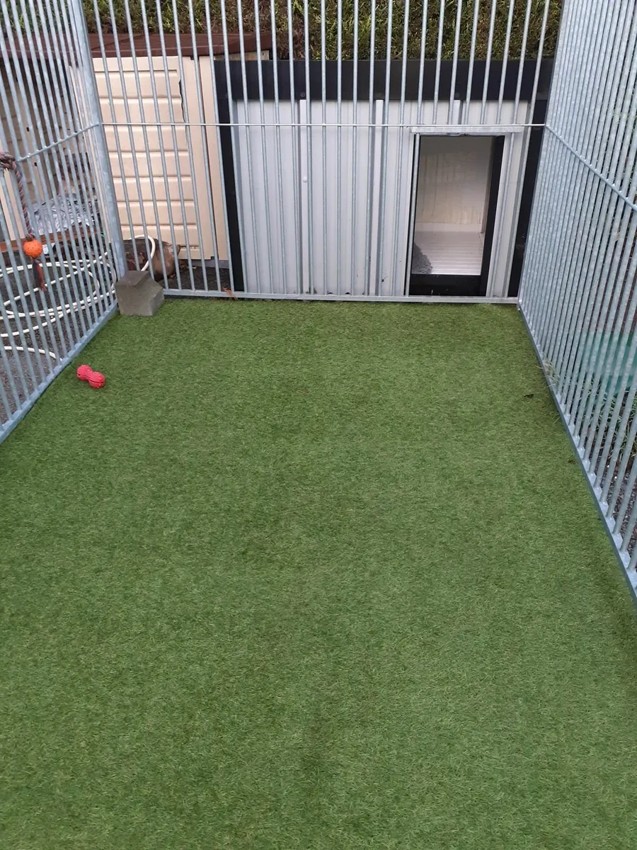 Kennel and Dog Run - Image 1