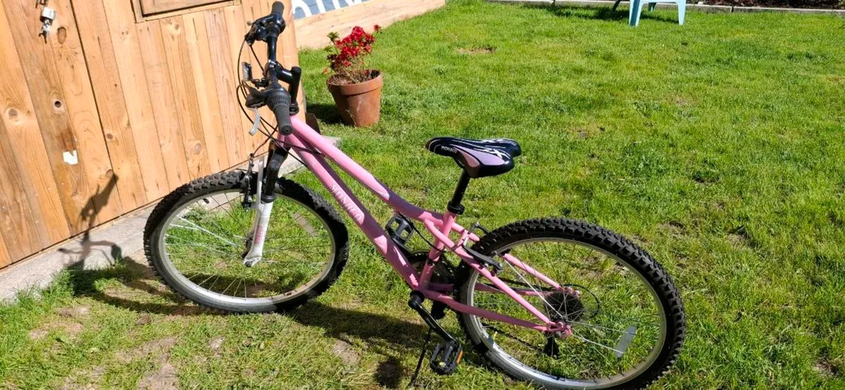 Girls and adult bike - Image 2