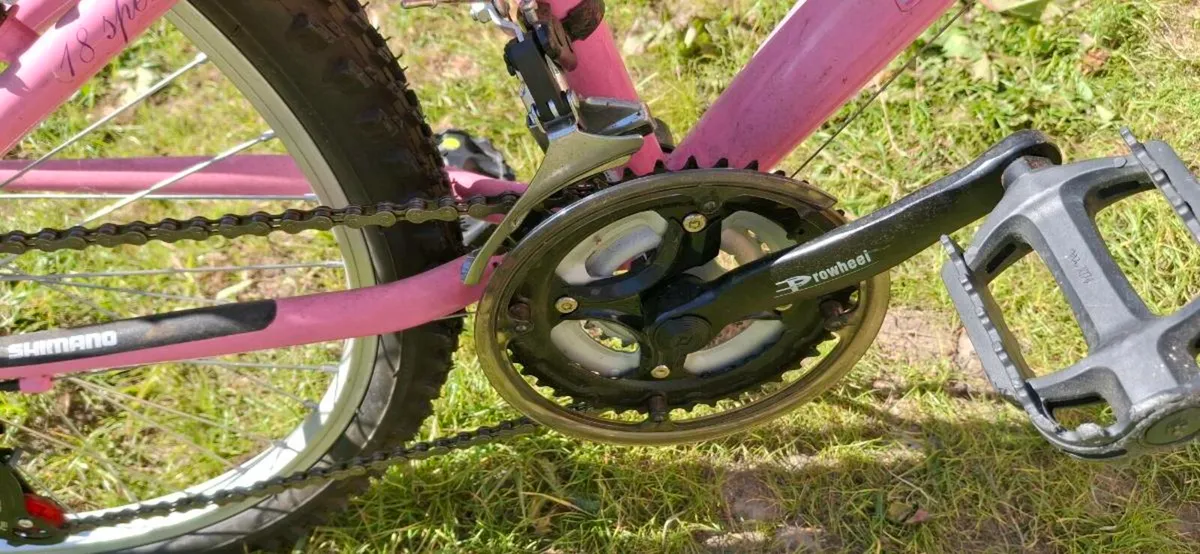 Girls and adult bike - Image 4