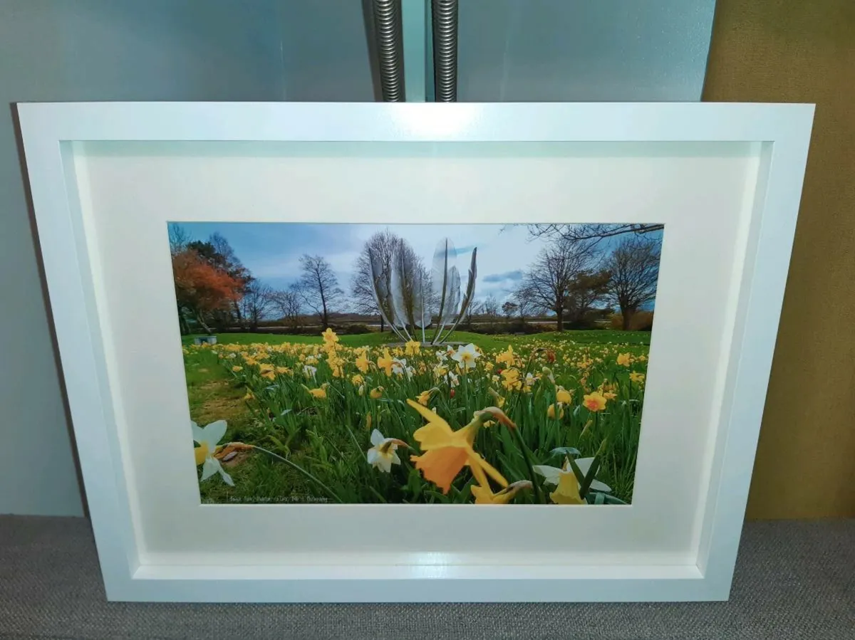 Midleton - Image 2