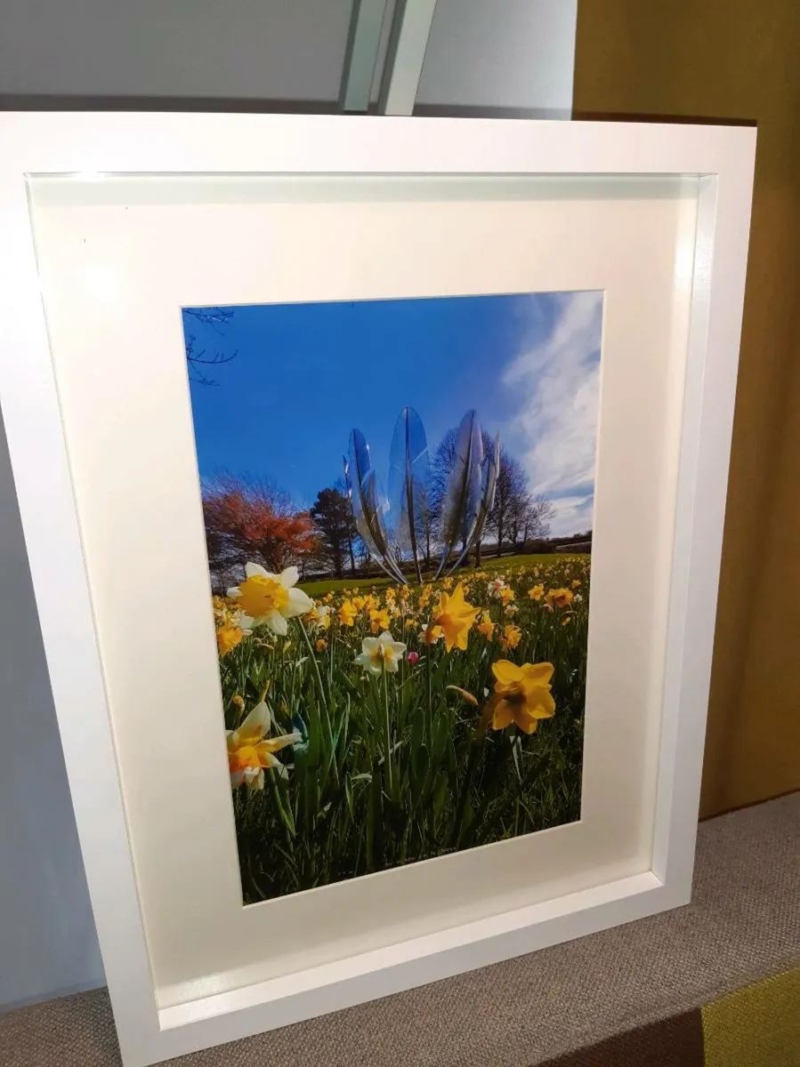 Midleton - Image 4