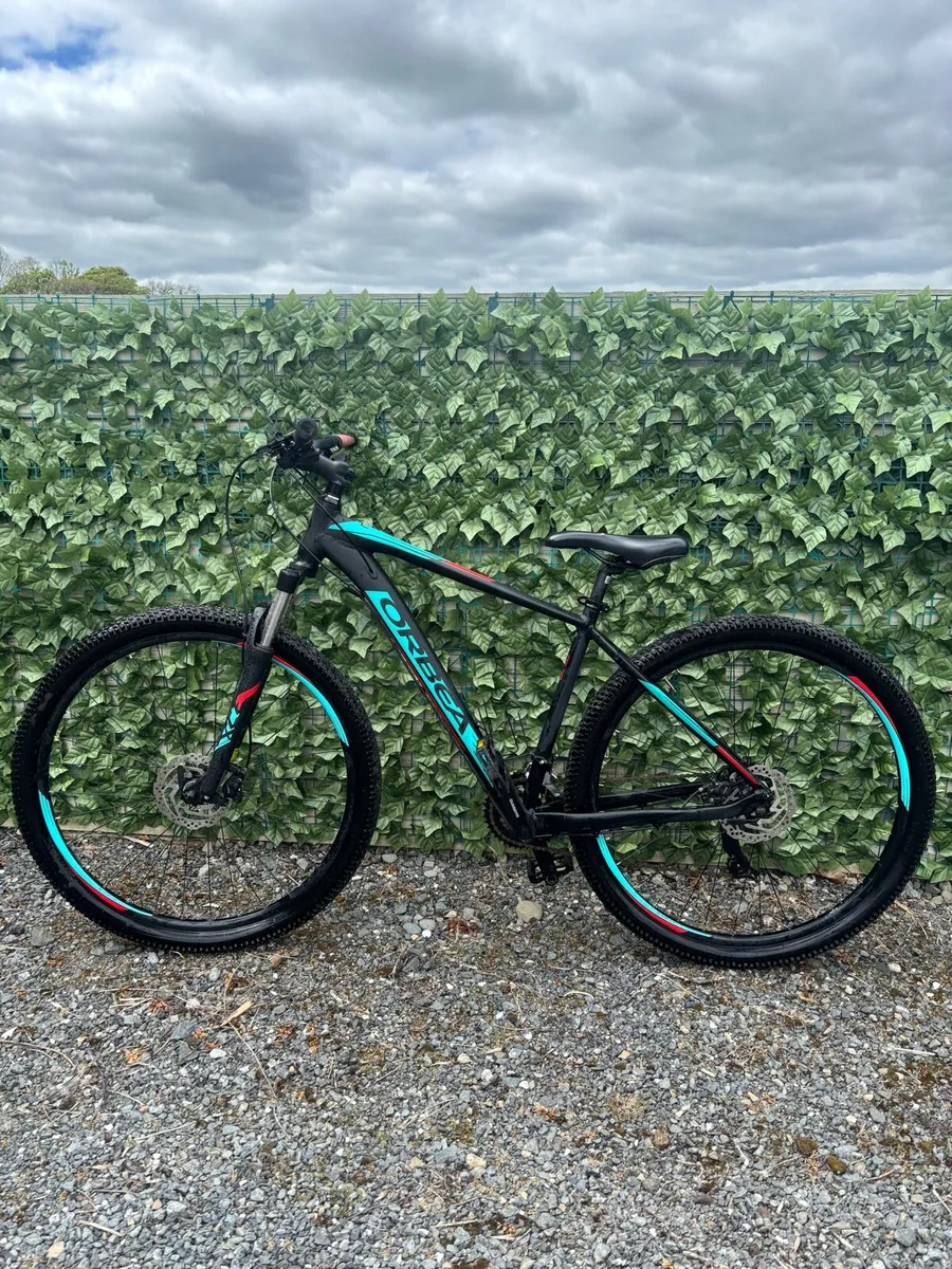 Oreba Mountain Bike - Image 1