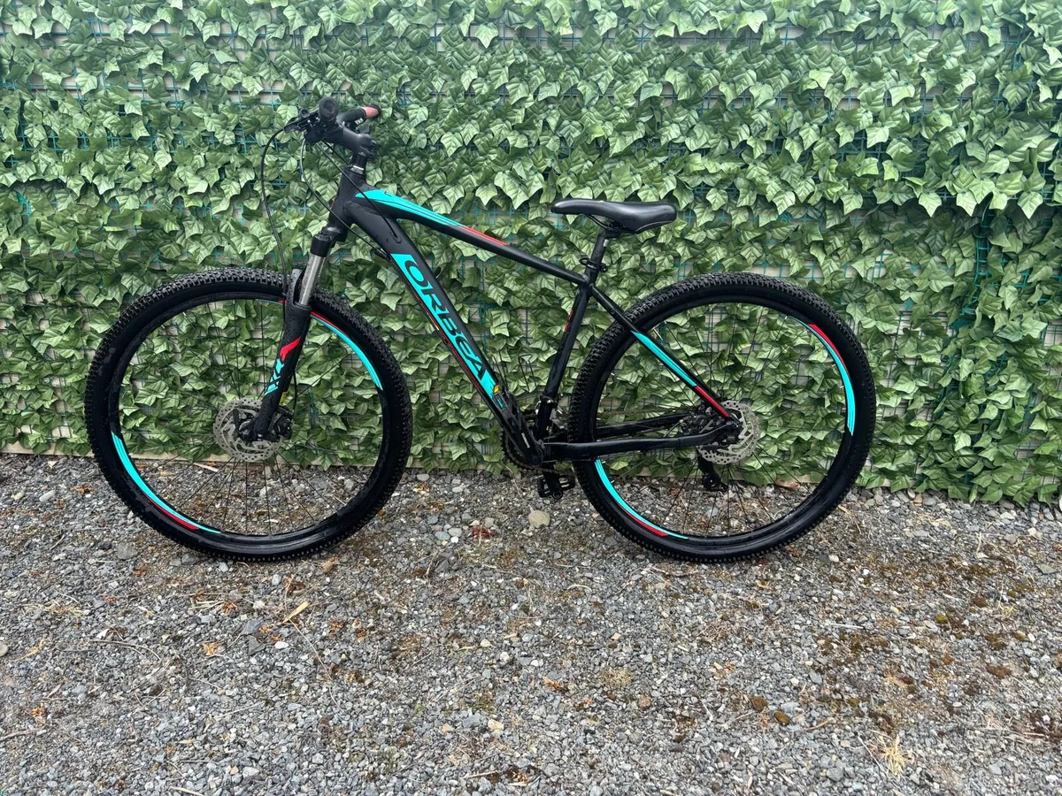 Oreba Mountain Bike - Image 2