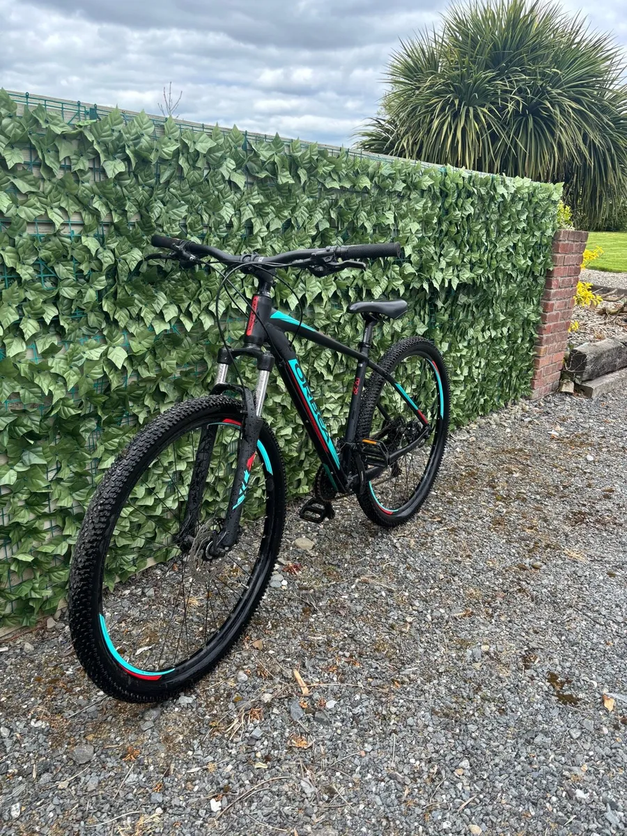 Oreba Mountain Bike - Image 3