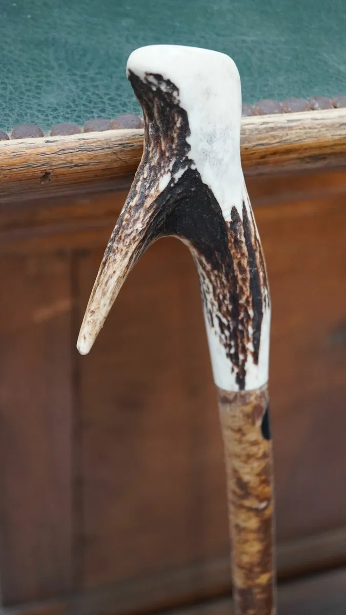 🦌 Handmade Walking Stick with Natural Antler Hand - Image 2