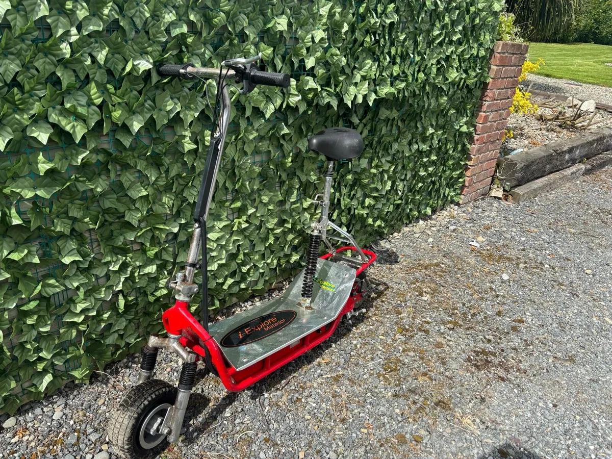 Electric Scooter - Image 2