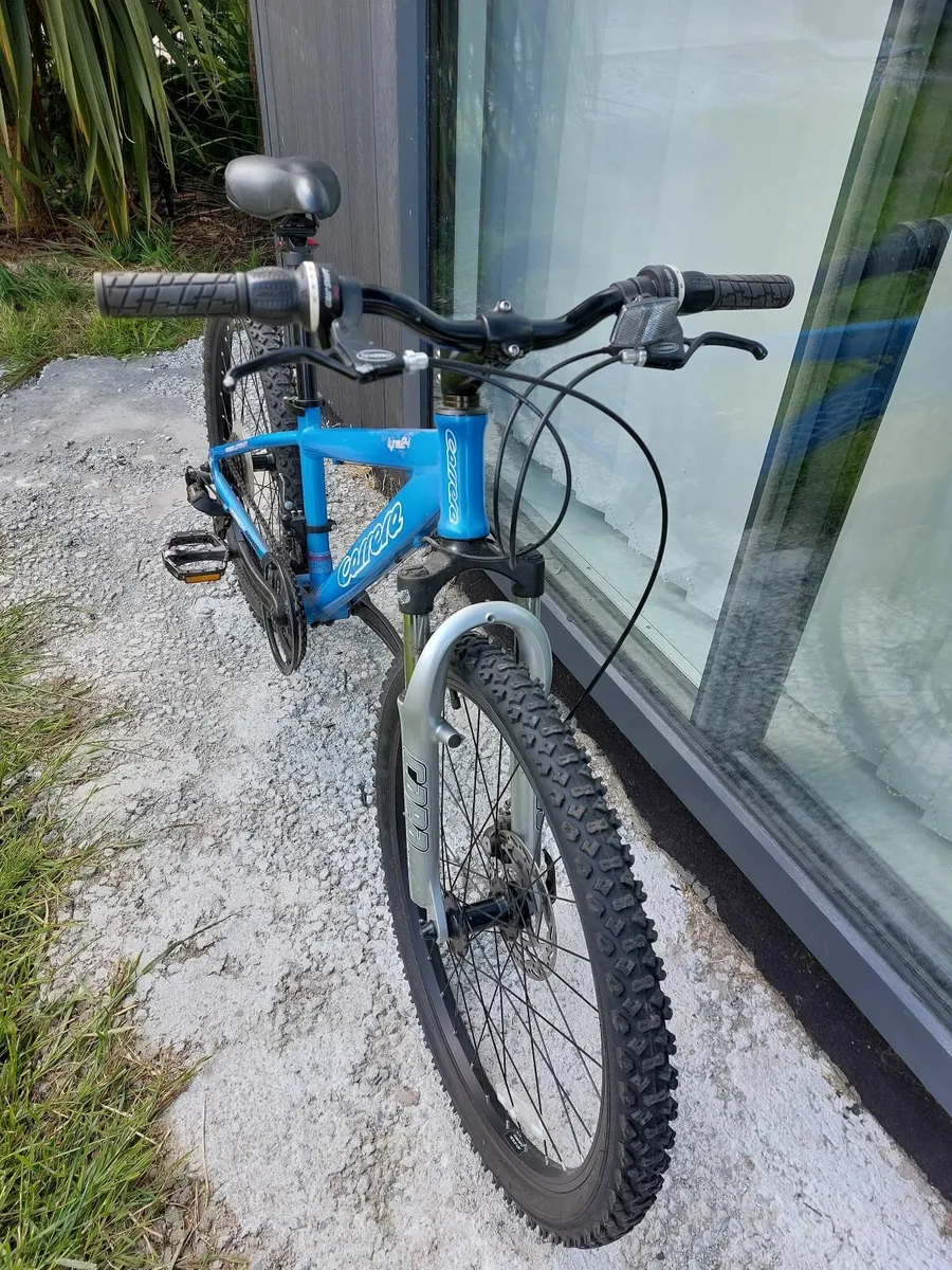 Carrera Luna Junion mountain bike 24'' excellent - Image 2
