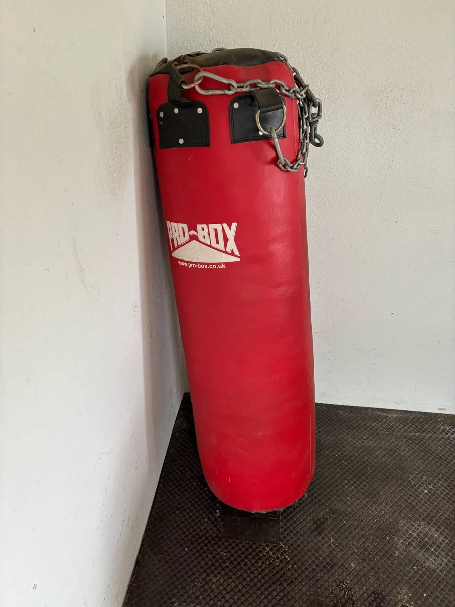 Boxing bag and bracket - Image 1