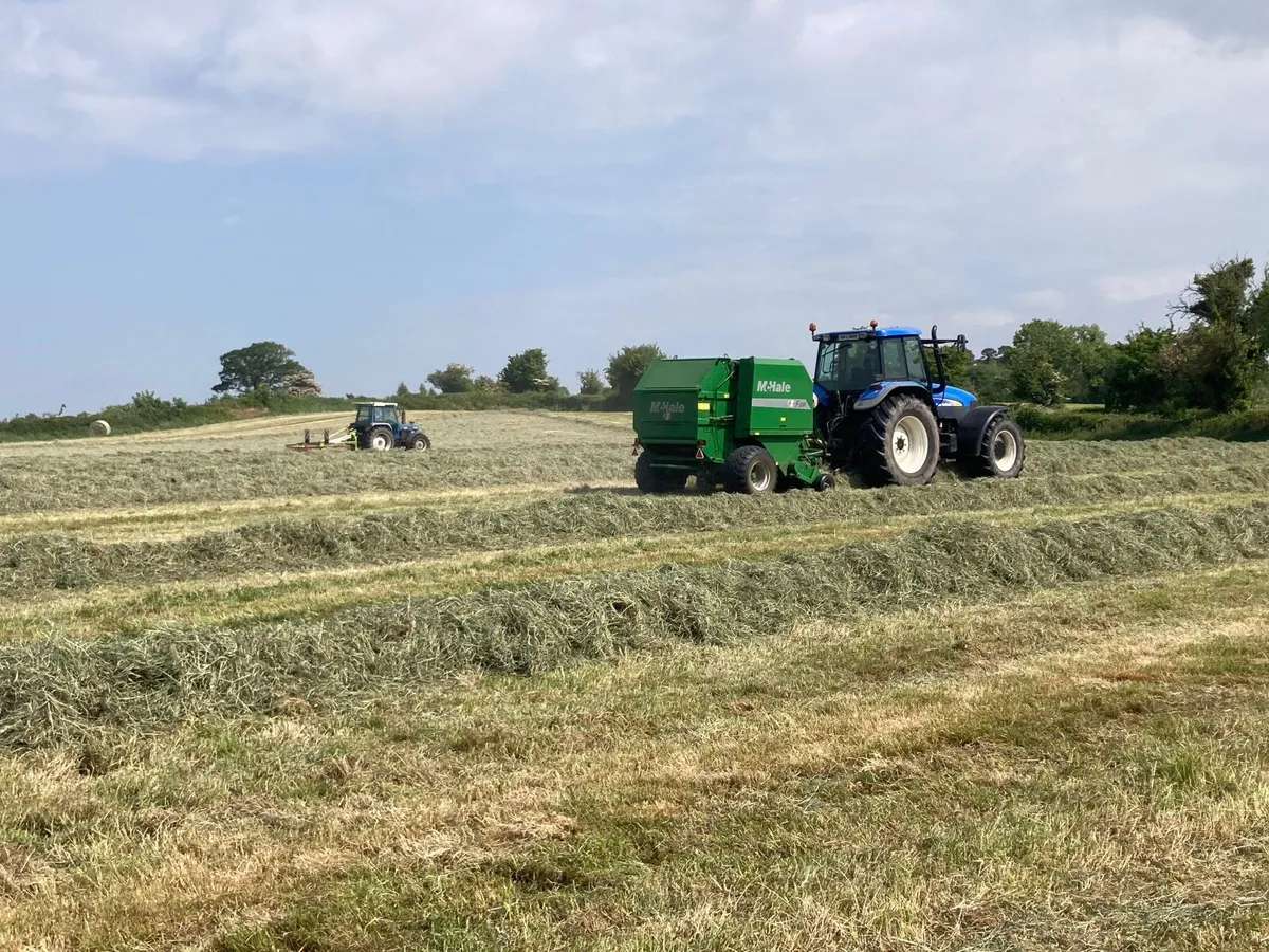 Round Bales of Haylage - Image 4