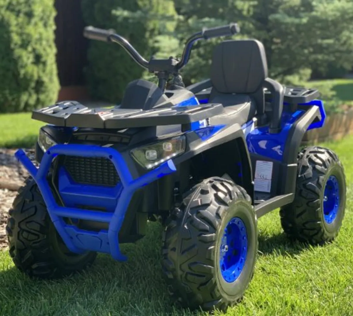 Desert Commander 24V Electric Ride On Quad Blue - Image 2