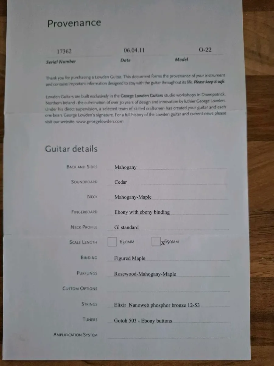 Guitar - Image 2