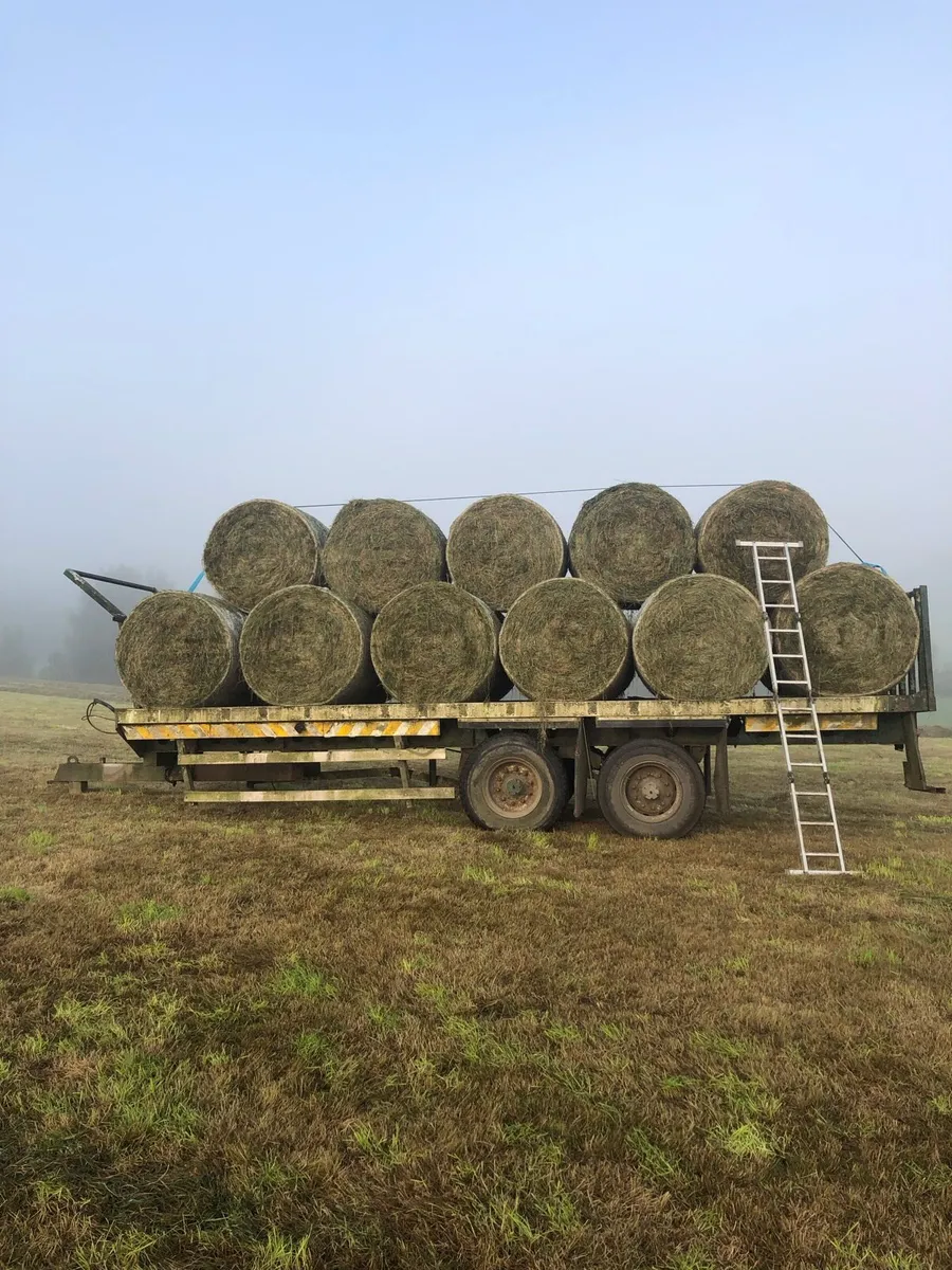 Bale trailer - Image 4