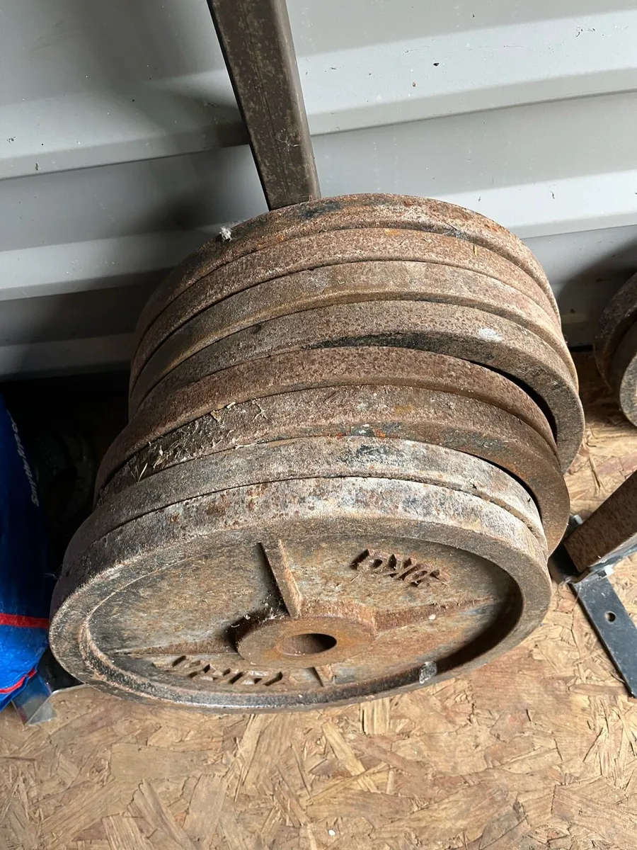 207.5kg Olympic weight plates 2” diameter - Image 2