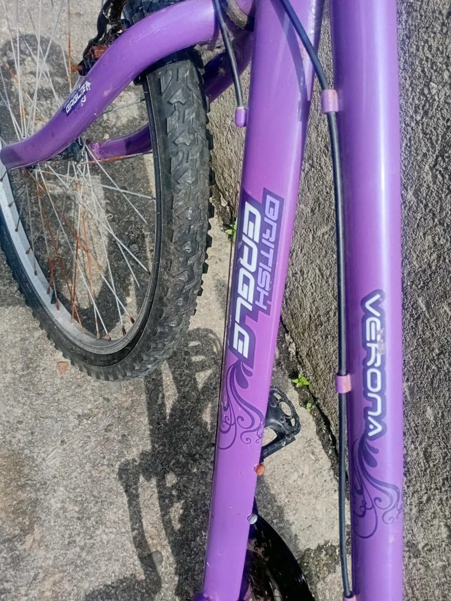 Small adult bike - Image 2