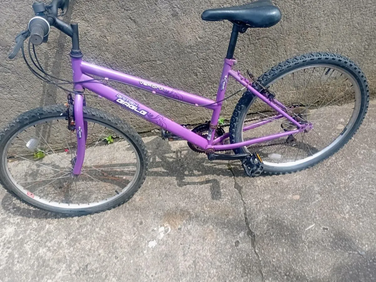 Small adult bike - Image 3