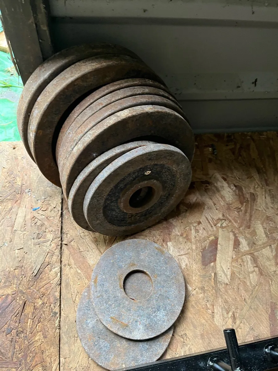 207.5kg Olympic weight plates 2” diameter - Image 3