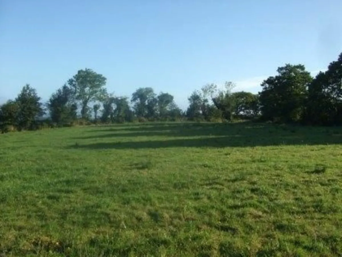 SITE - Image 1