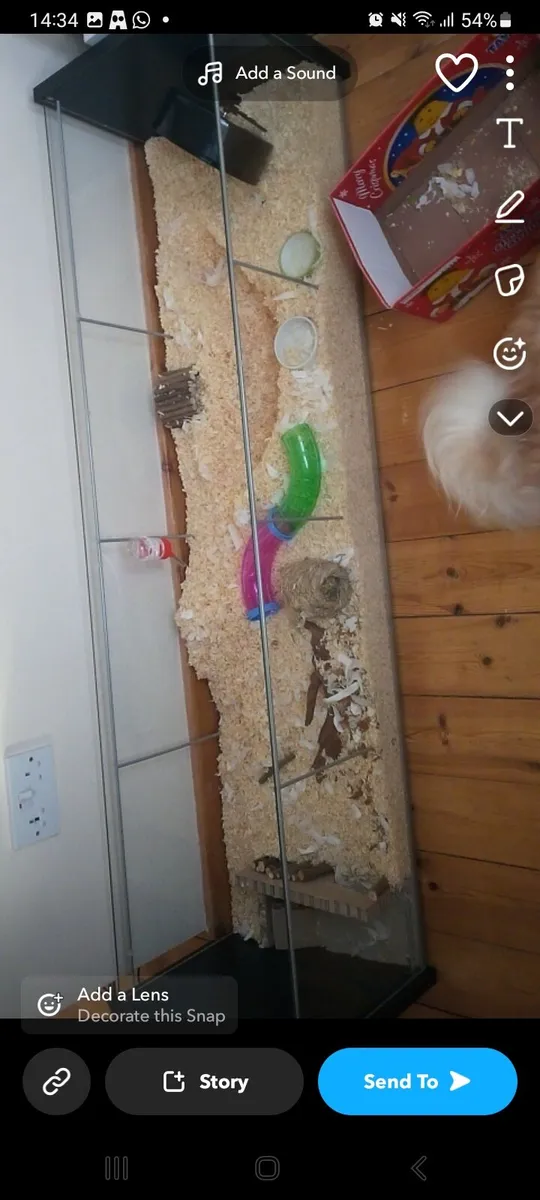 Glass cabinet storage or used for shelves or pets - Image 4
