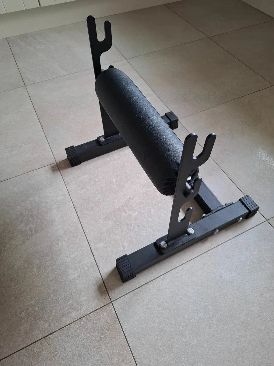 Bulgarian Split Squat - Image 1