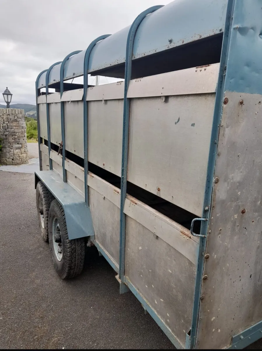 Ifor Williams Trailer - Image 1