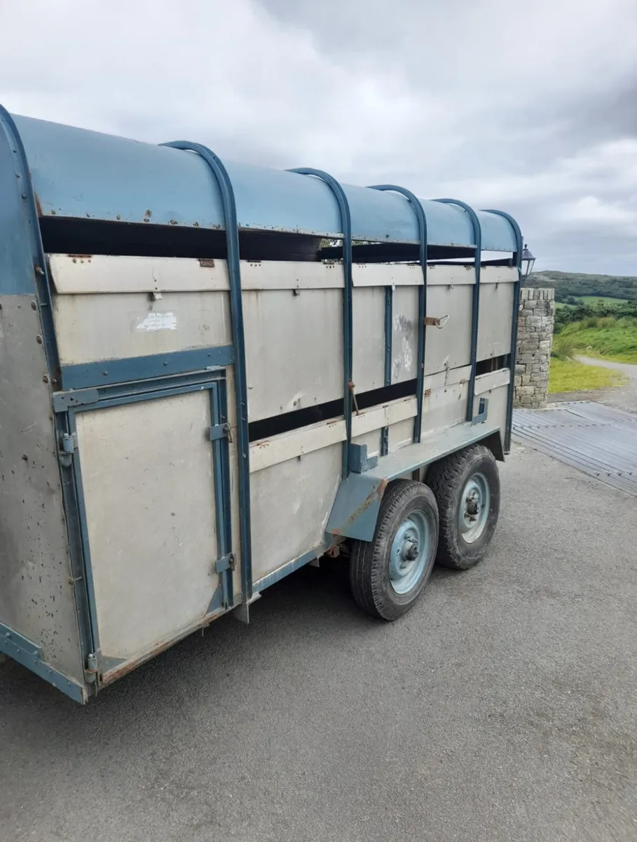 Ifor Williams Trailer - Image 3