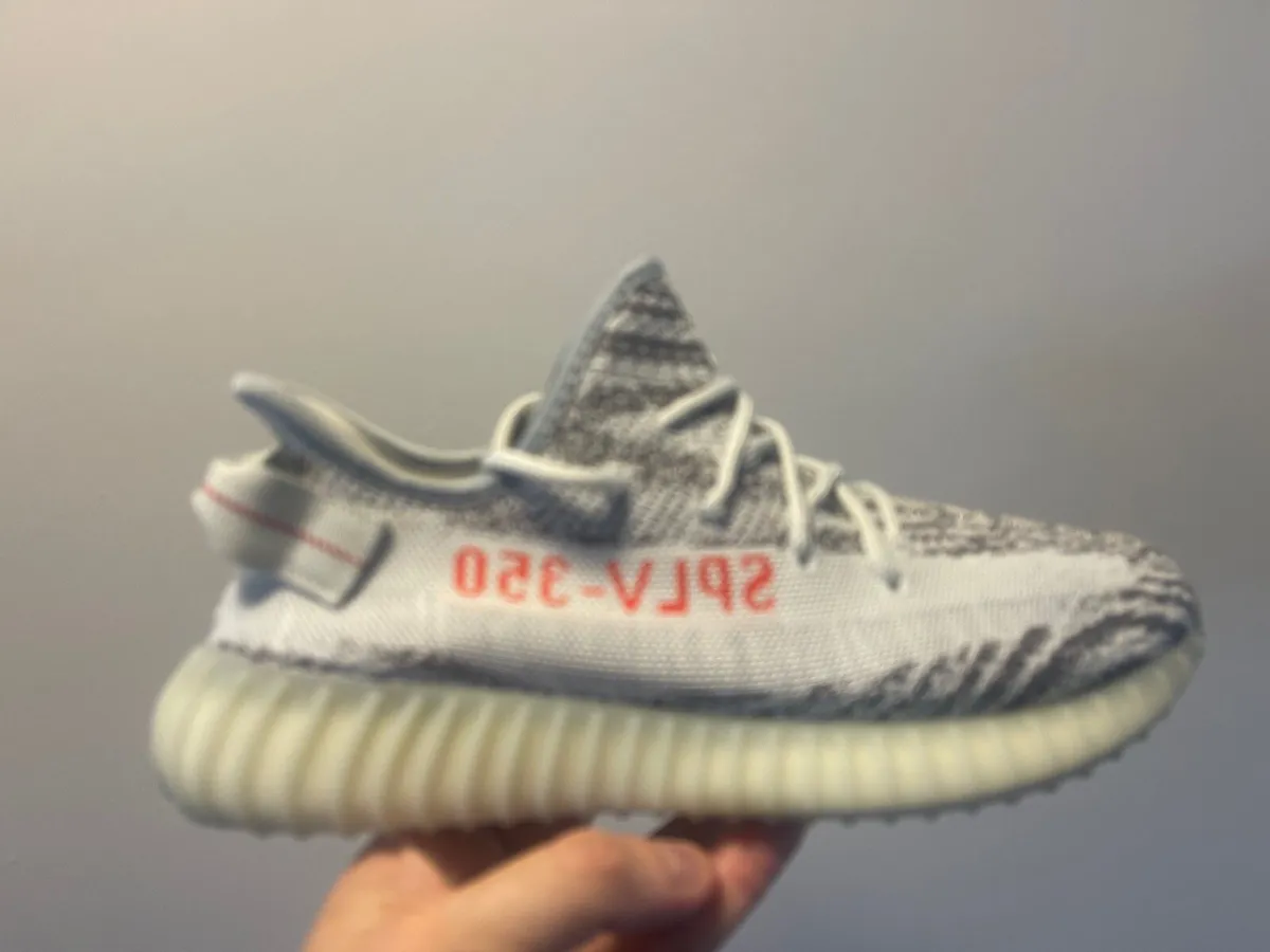 Yeezy Blue Tint - Image 4