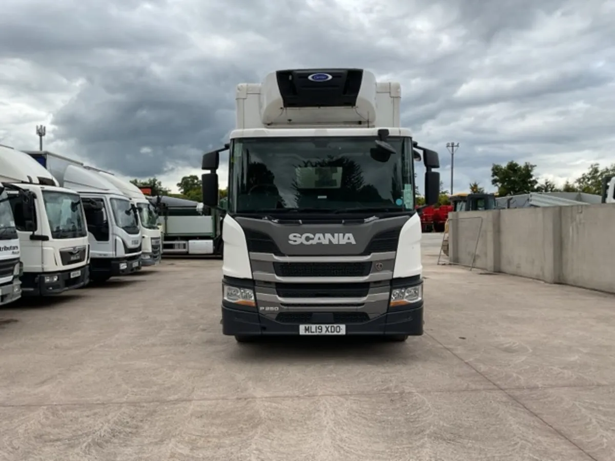 2019 Scania P250 4x2 18T Fridge - Image 2