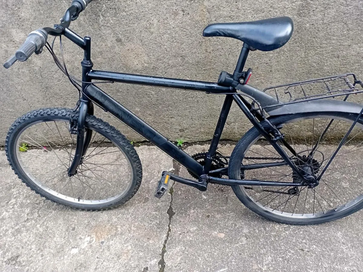 Adult bike - Image 1