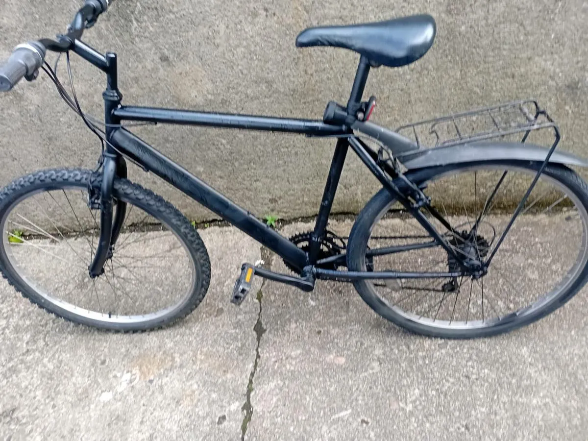 Adult bike - Image 2