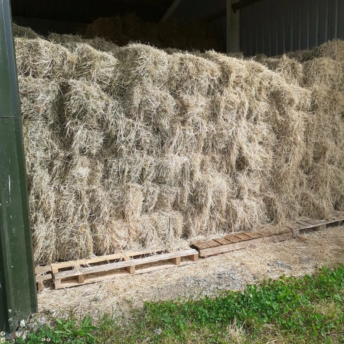 Horse hay. - Image 2
