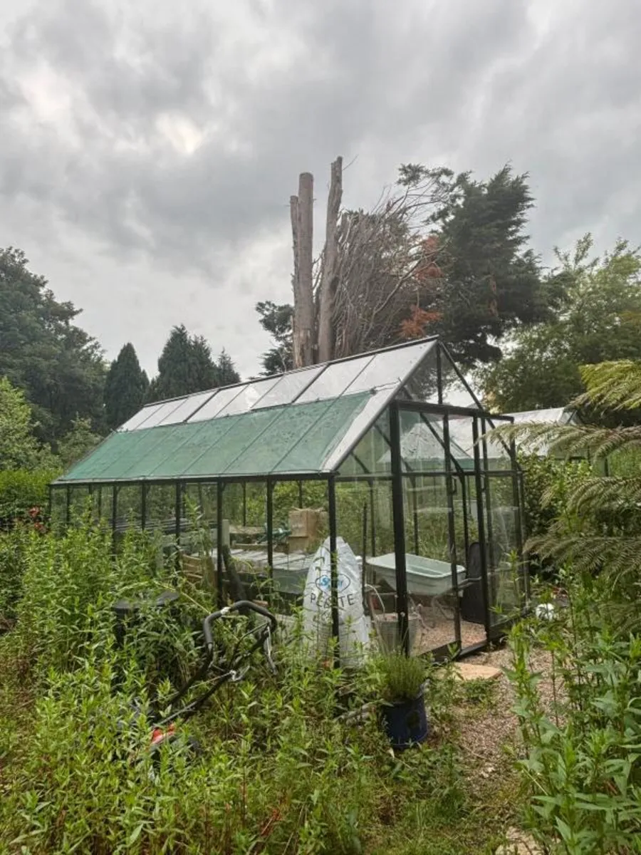 2024 Halls Qube Greenhouse **Online Auction** - Image 3