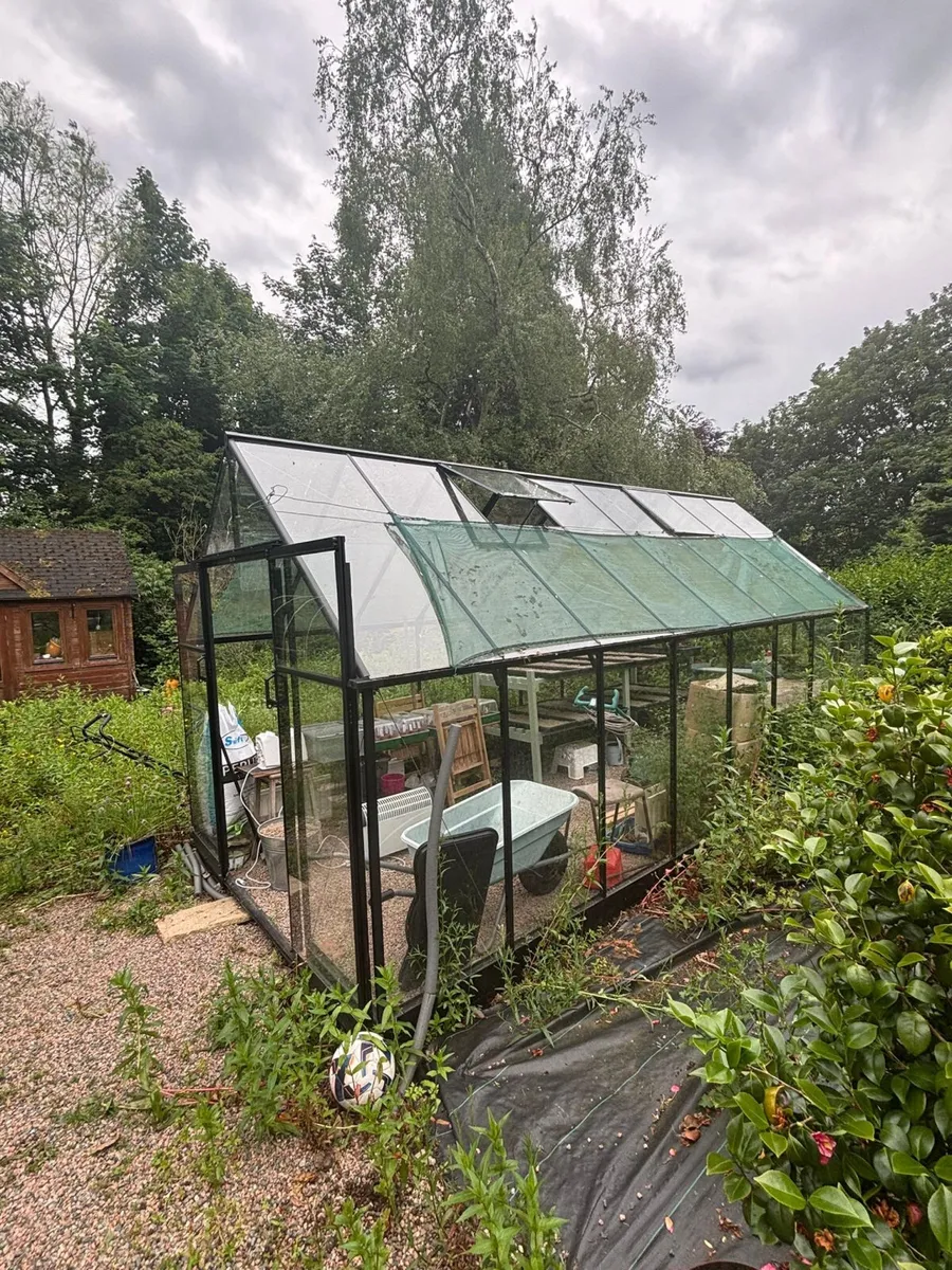2024 Halls Qube Greenhouse **Online Auction** - Image 1