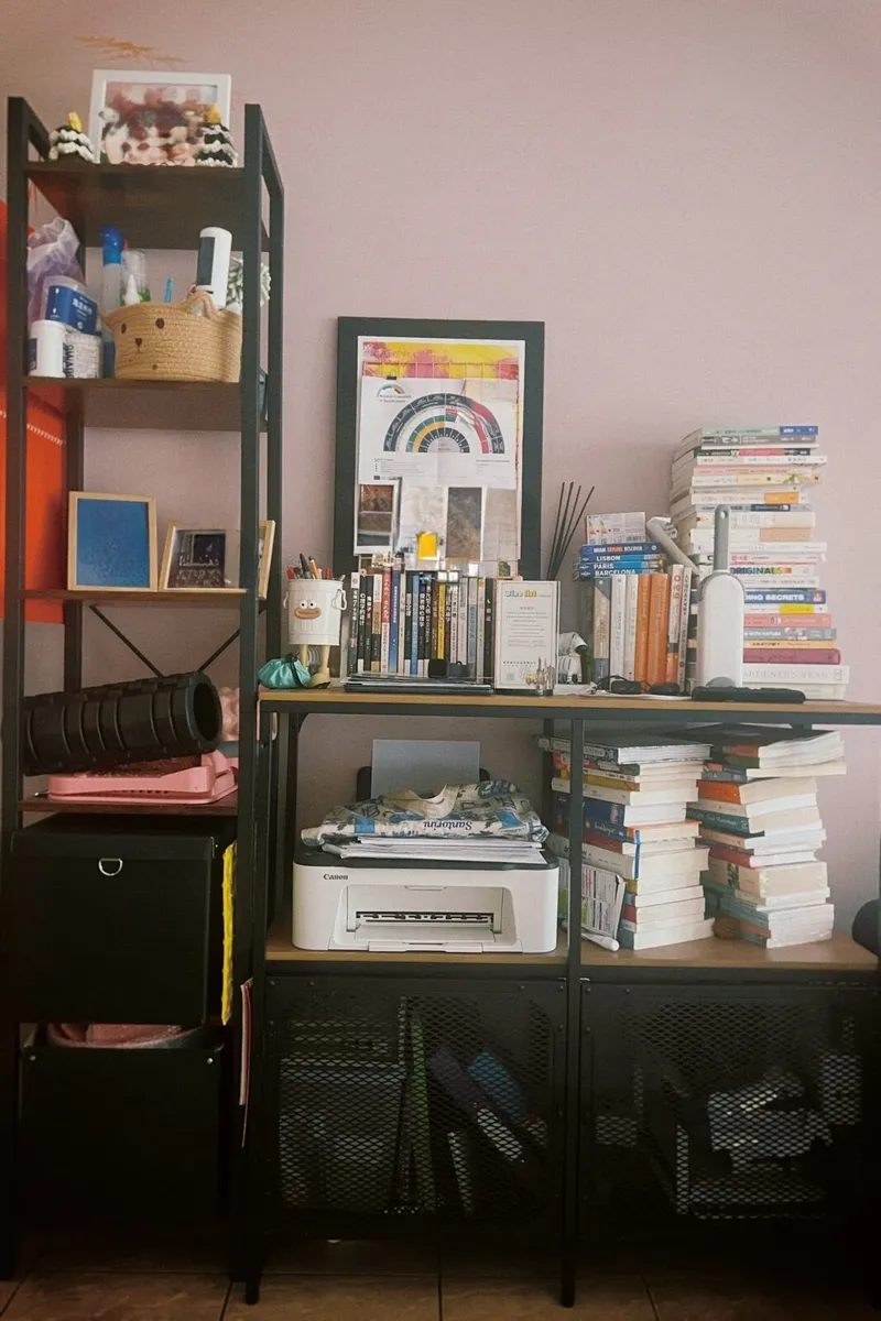 Stand and Shelves storage
