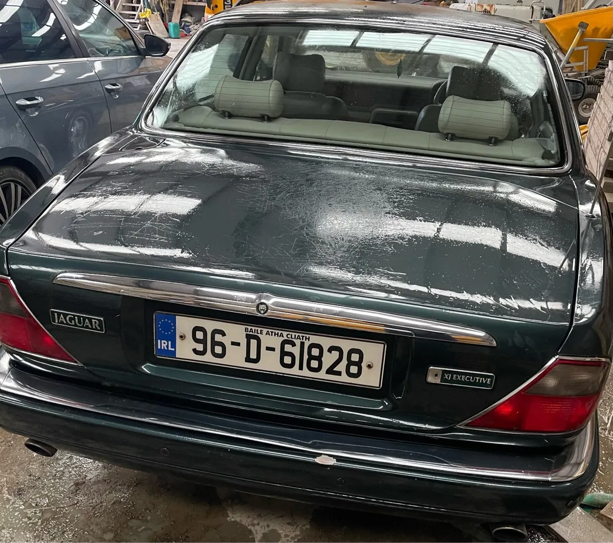 Jaguar - Image 1