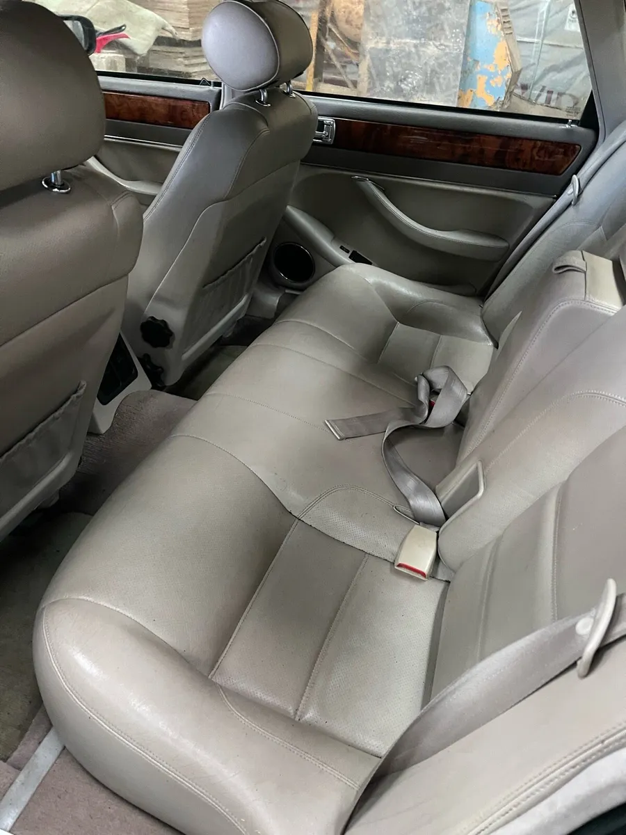 Jaguar - Image 2