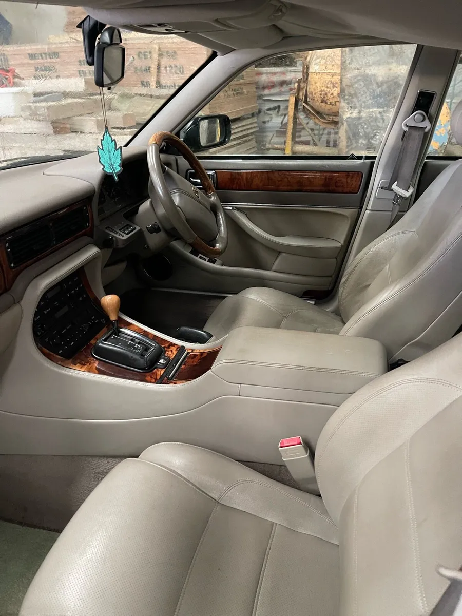 Jaguar - Image 3