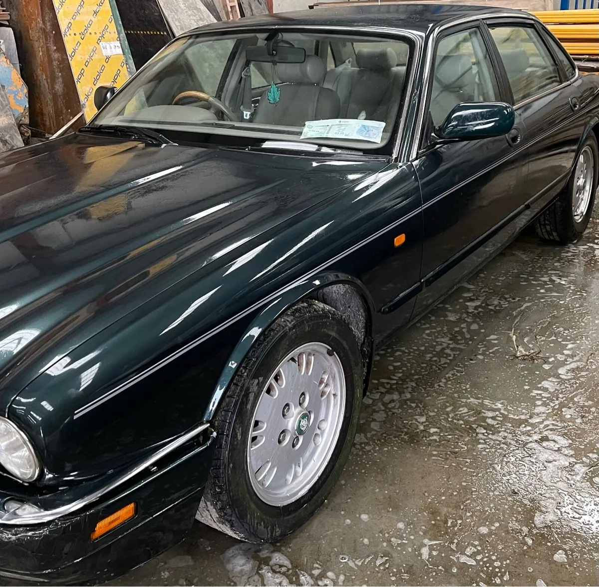 Jaguar - Image 4