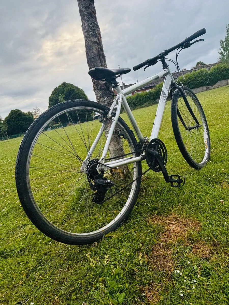 Saracen bicycle for sale. - Image 1