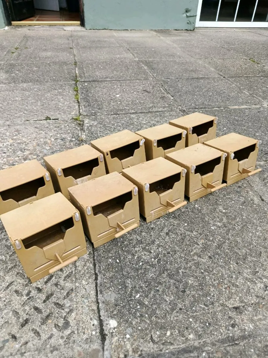 10 X plastic finch nest boxes, high quality - Image 1